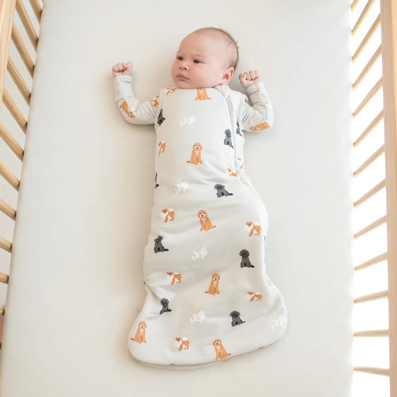 Sleep bag in Fluffy Dog