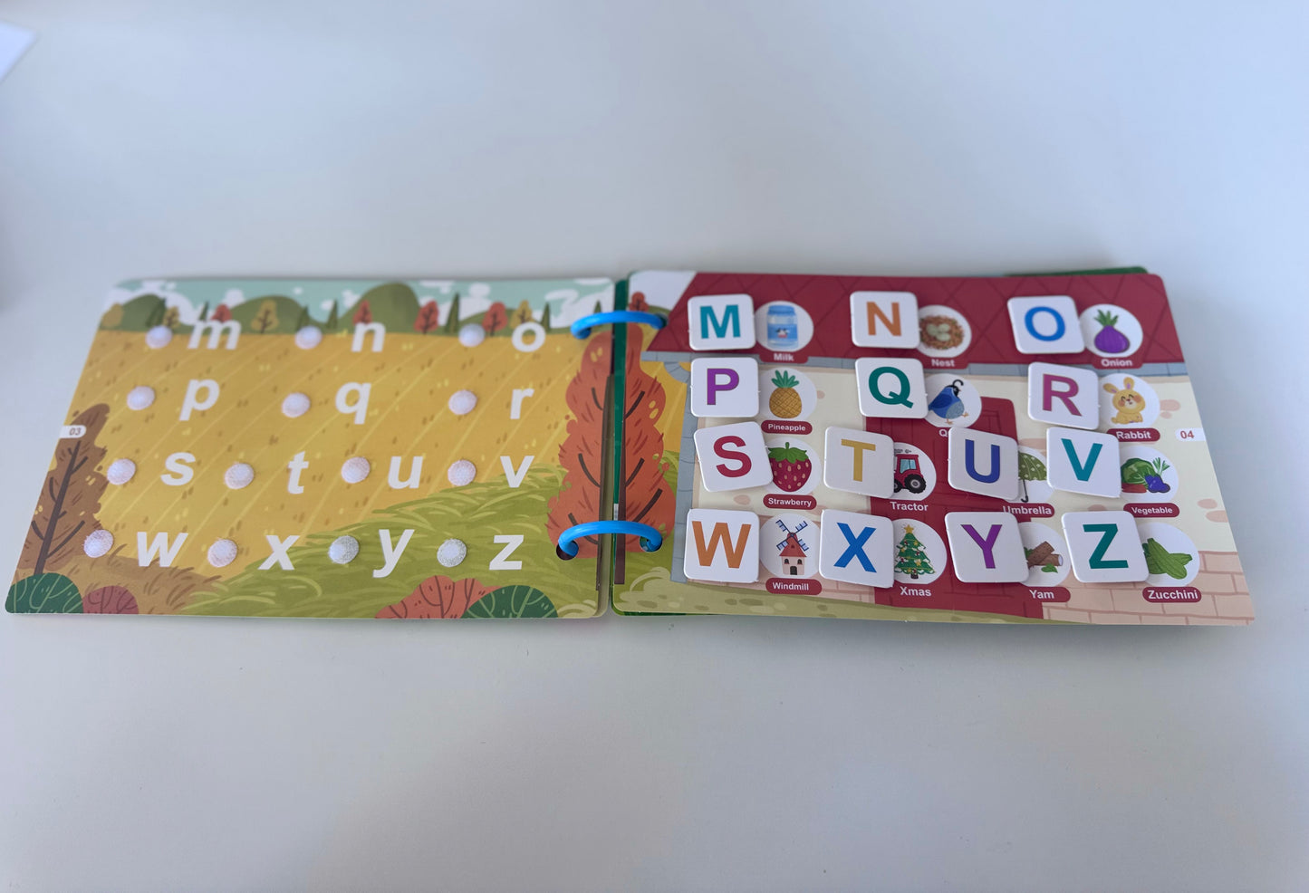 Learning The Alphabet, Animals & more! - Busy Book