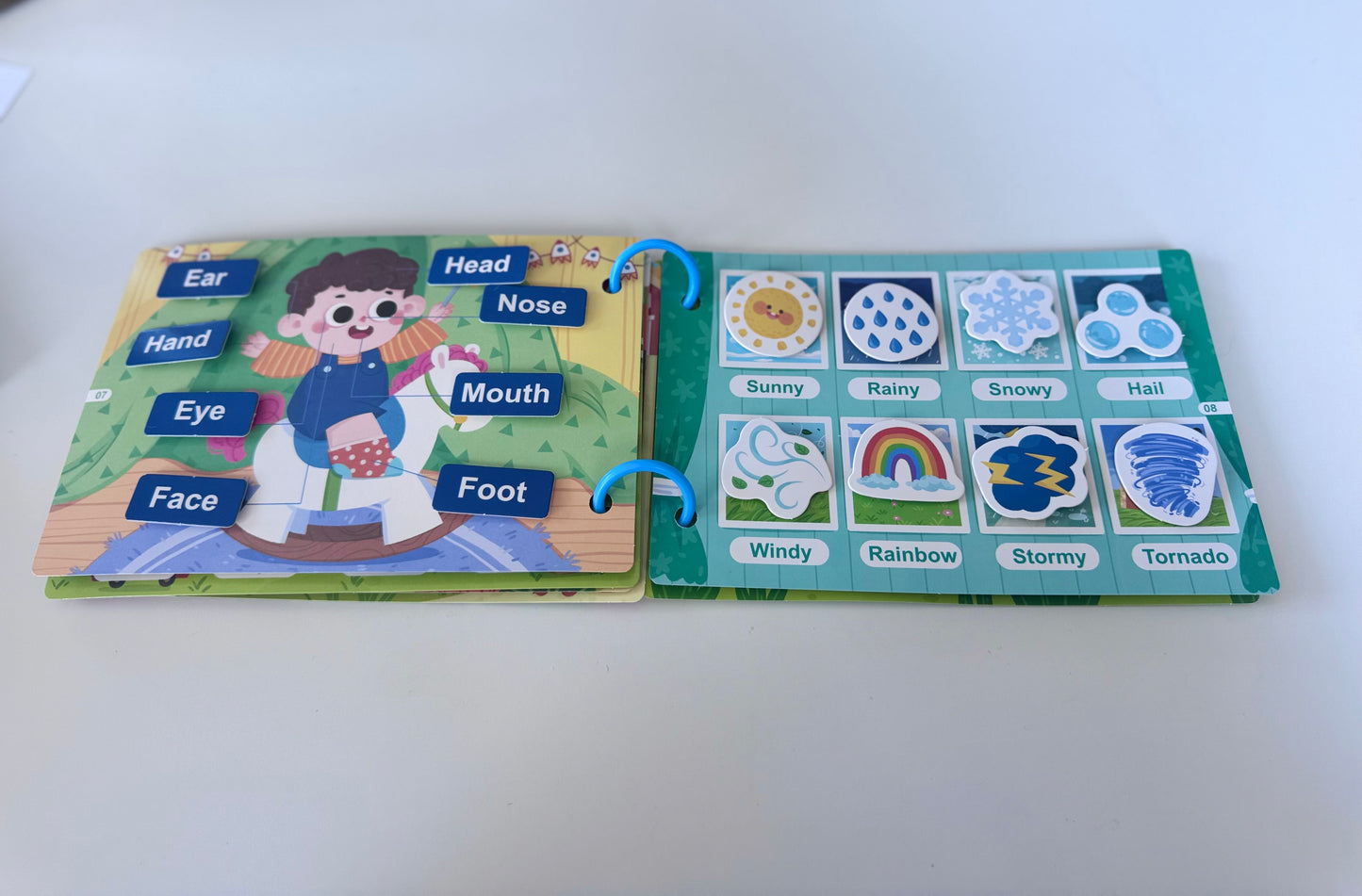 Learning The Alphabet, Animals & more! - Busy Book