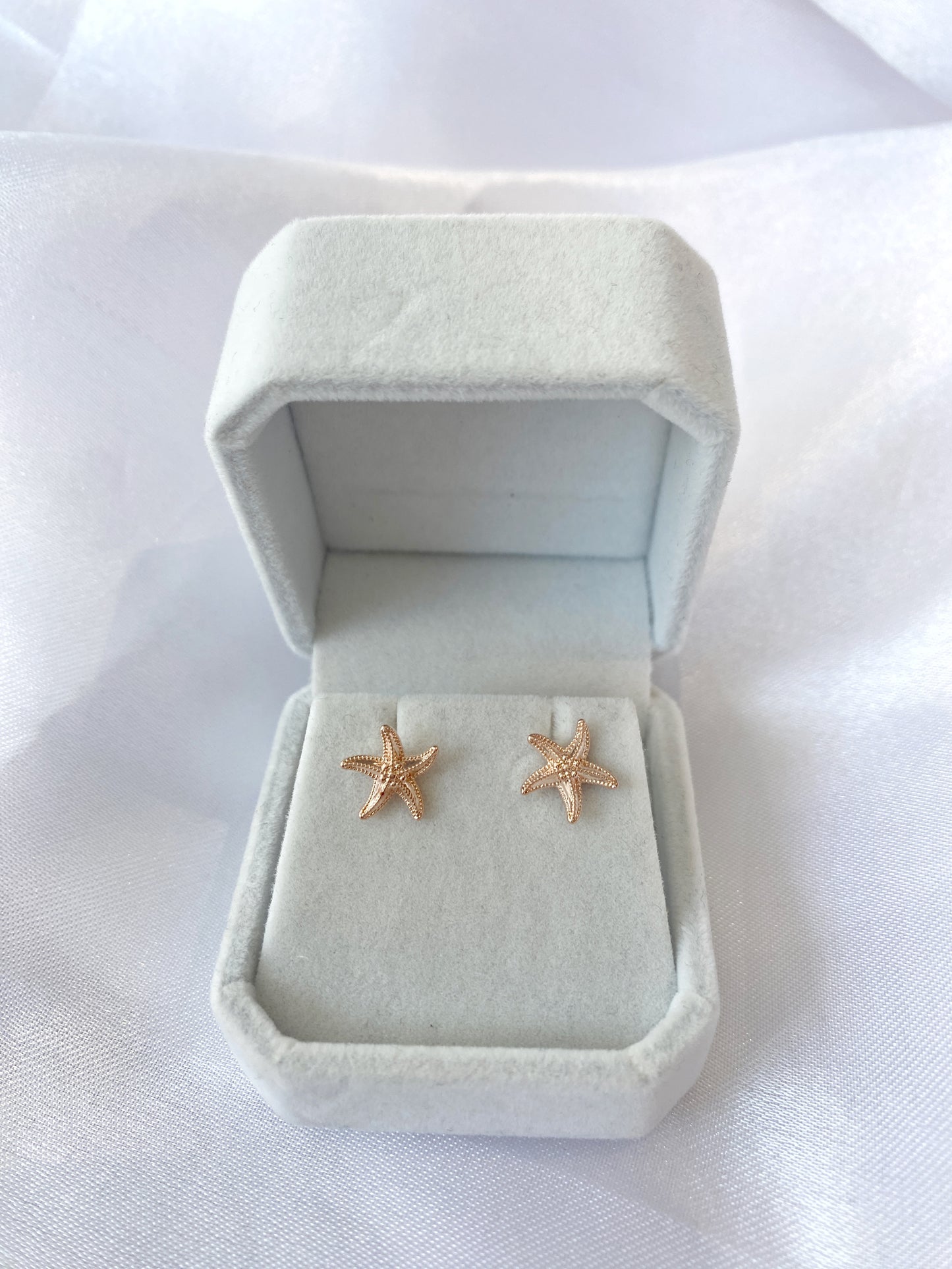 Seaing Stars Earrings