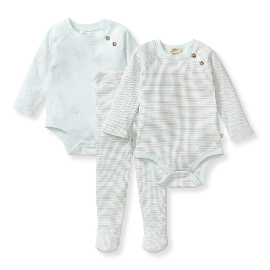 Frog 3-Piece Bodysuit & Pants Set