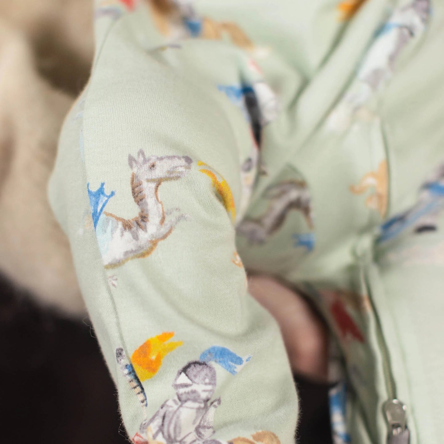 Knight & Dragons Sleeper