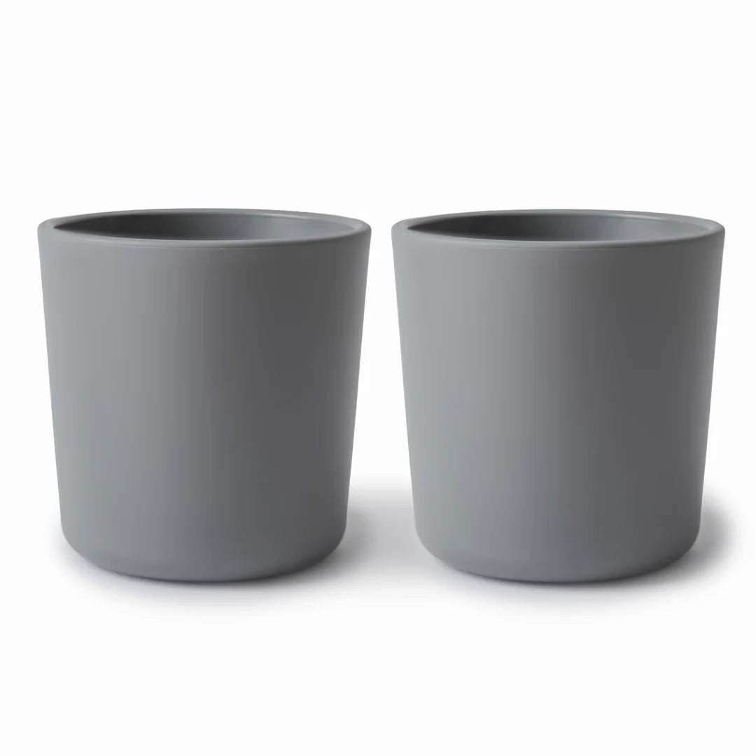 Dinnerware Cup - Set of 2