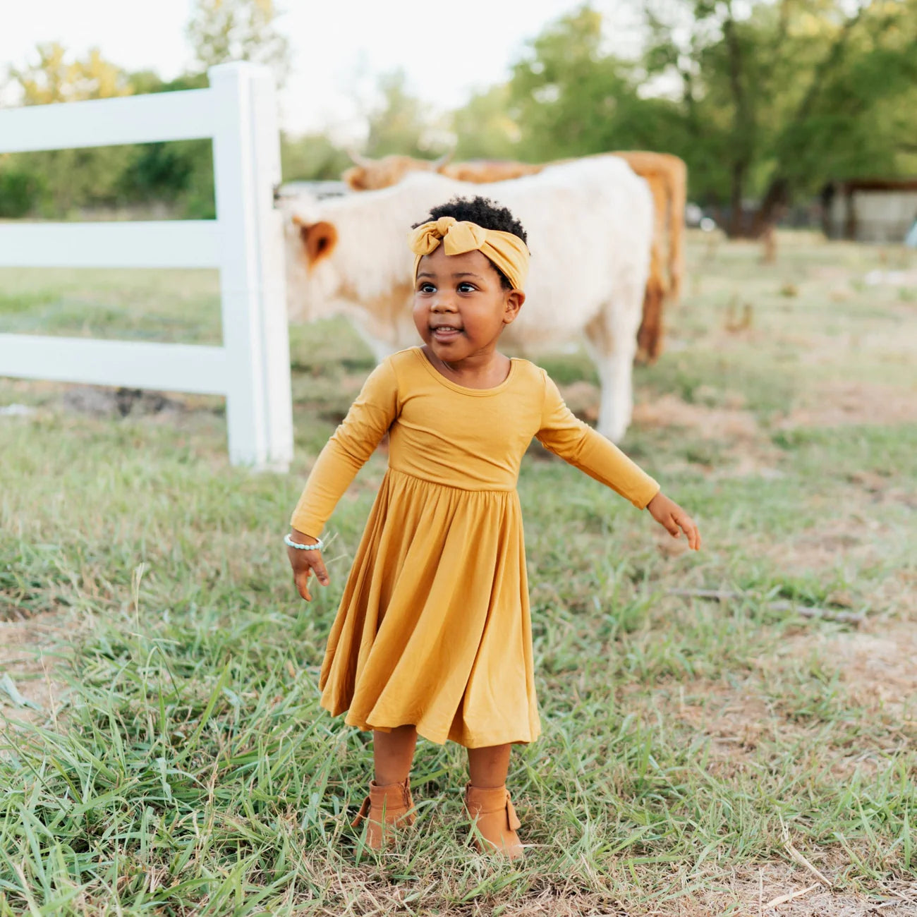 Long Sleeve Twirl Dress