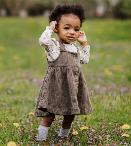 Honey Bee Toile Dress