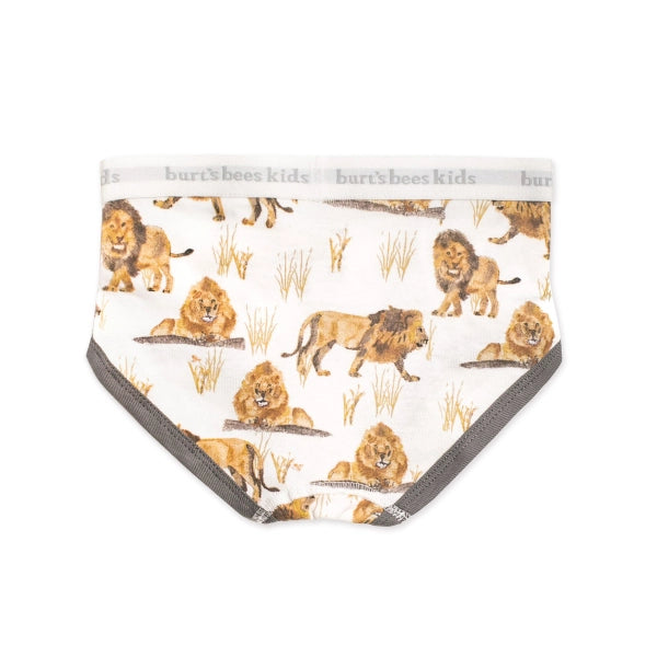 Boys Underwear - 5 Pack