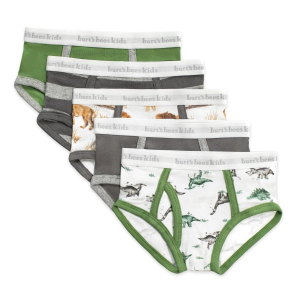 Boys Underwear - 5 Pack