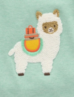 Llama Jumper in Aloe