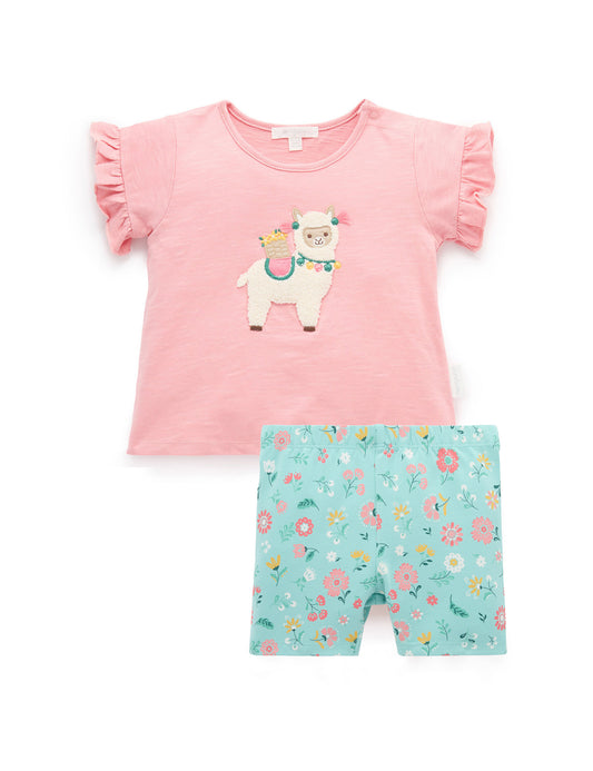 Ruffle Tee & Short Set in Papaya