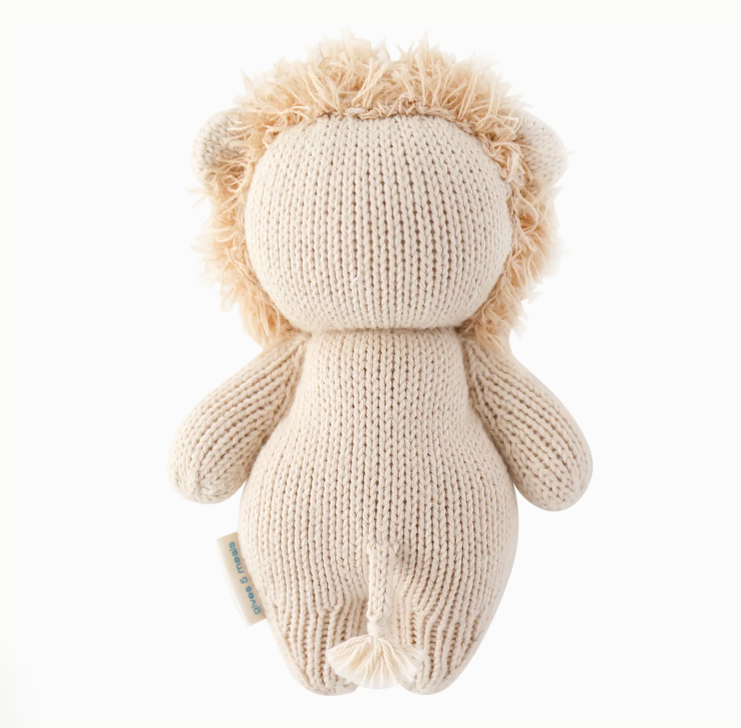Baby lion