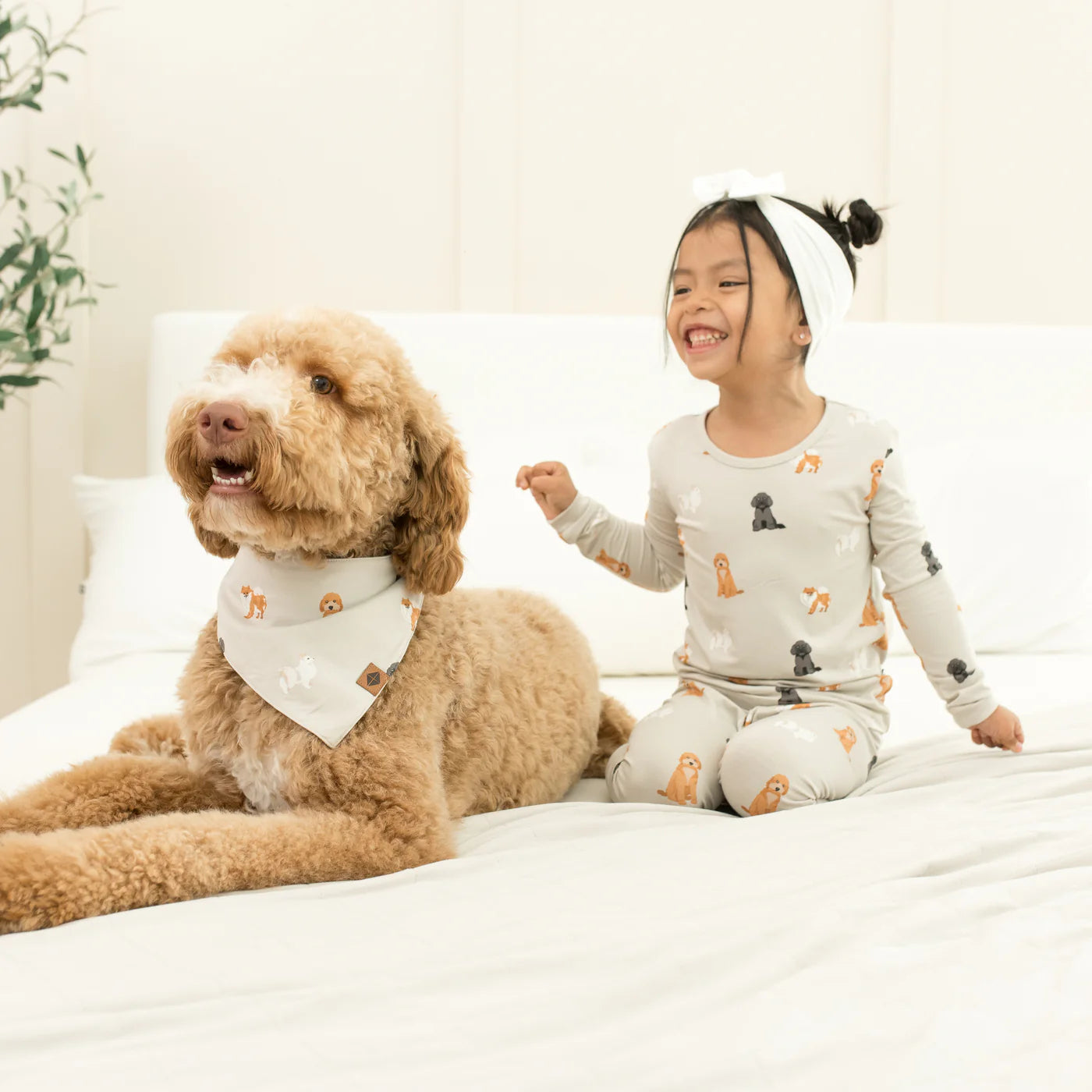L/S PJ Set in Fluffly Dog