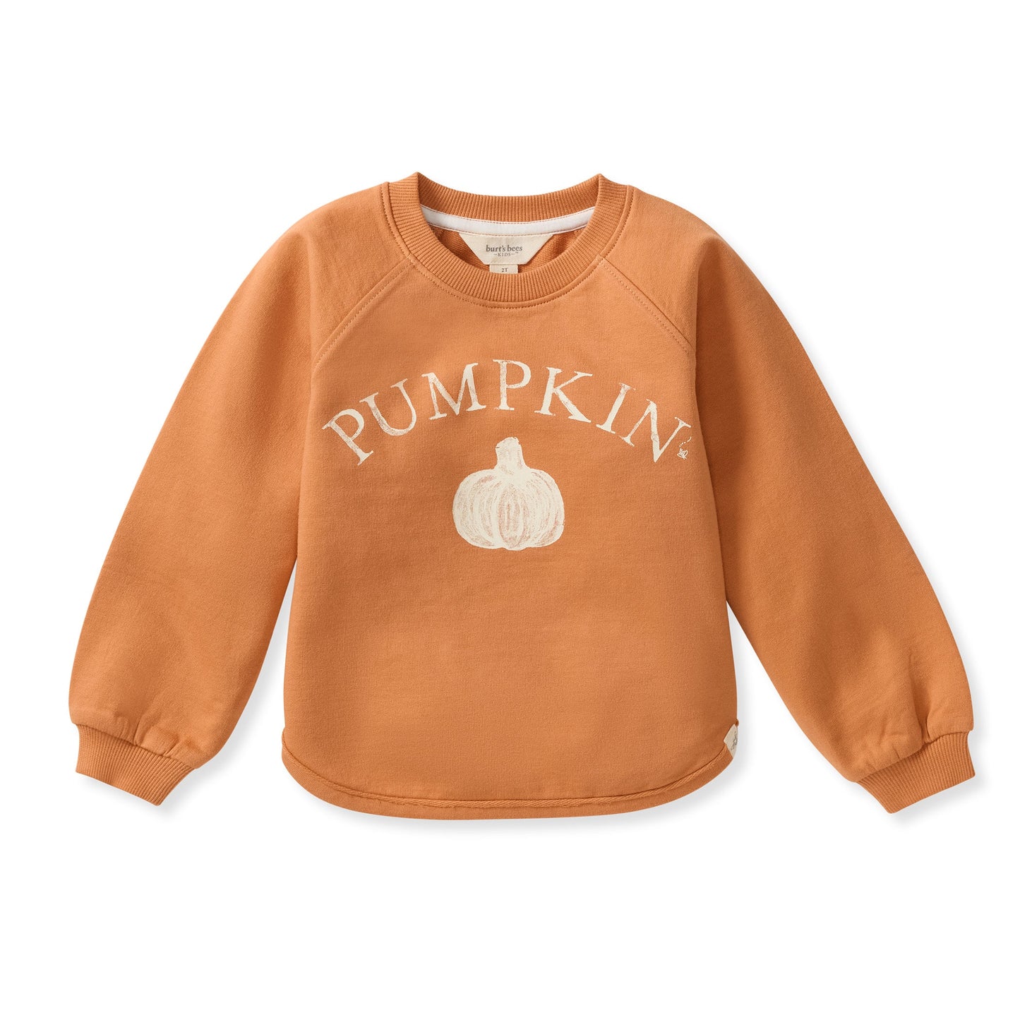 Pumpkin Organic Cotton Sweatshirt