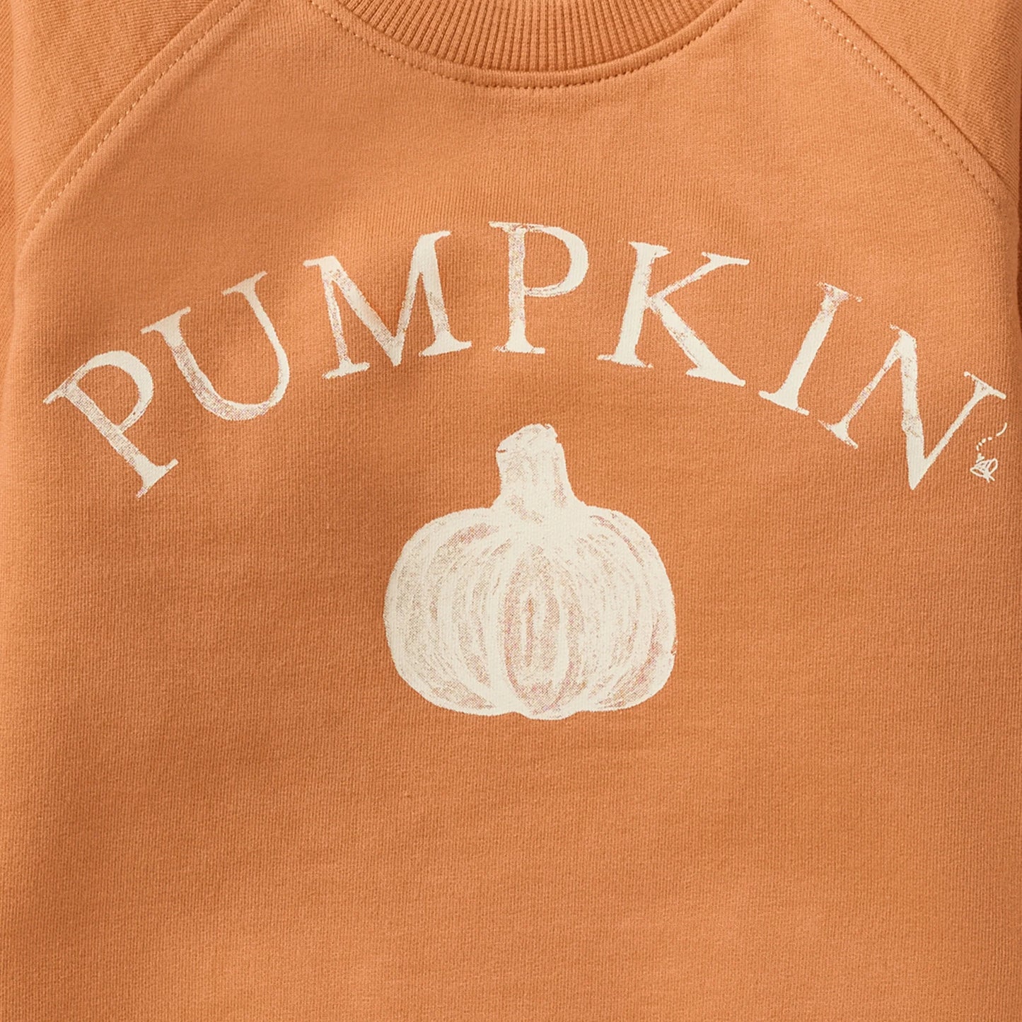 Pumpkin Organic Cotton Sweatshirt