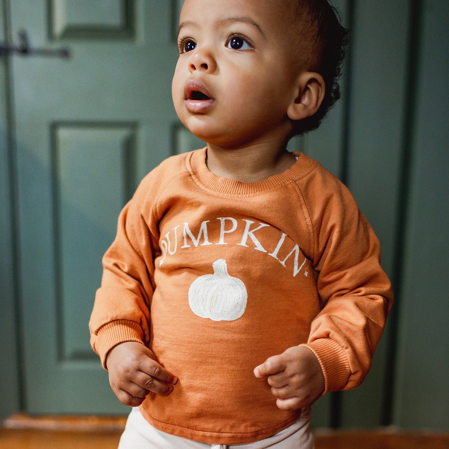 Pumpkin Organic Cotton Sweatshirt