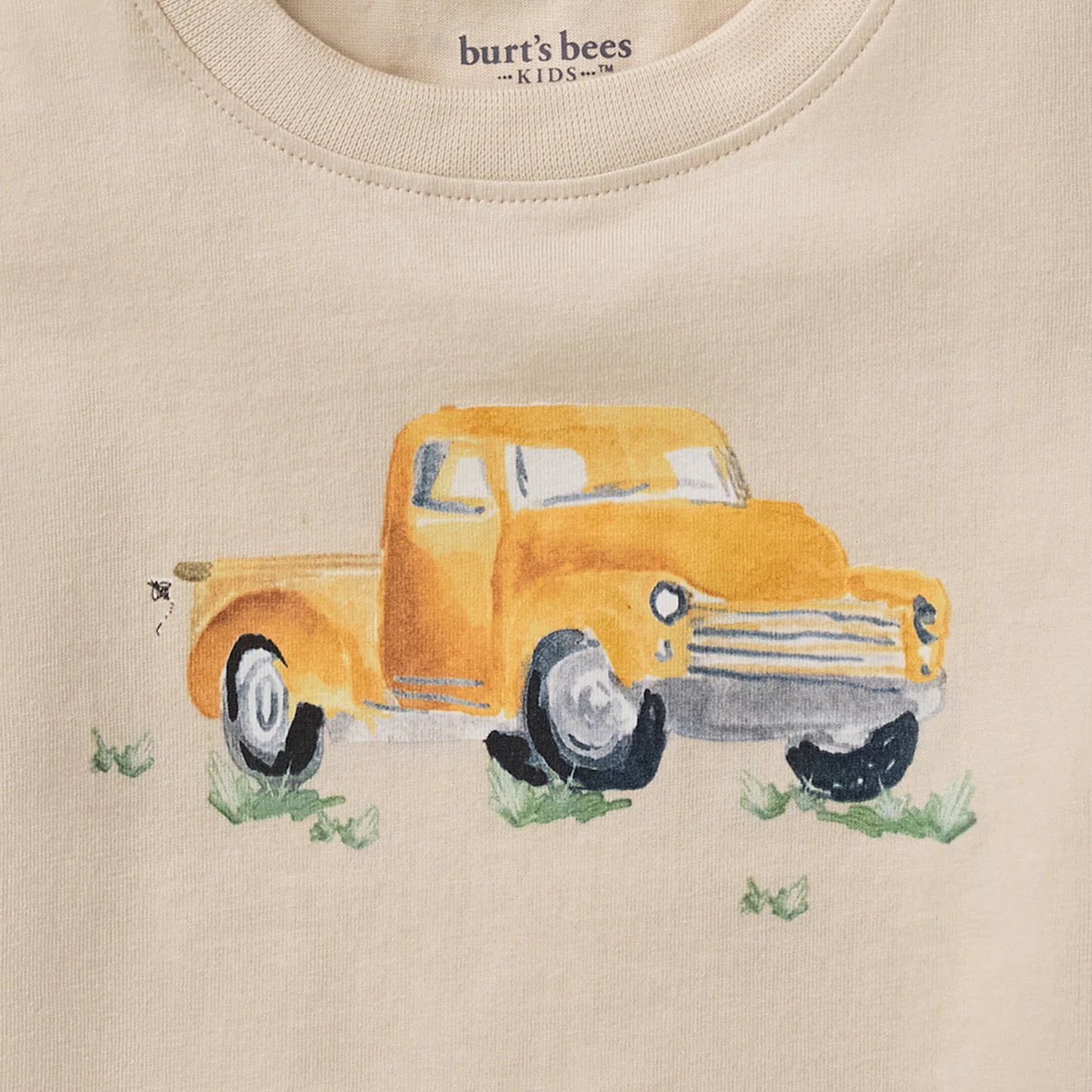 Burt's Truck Tee