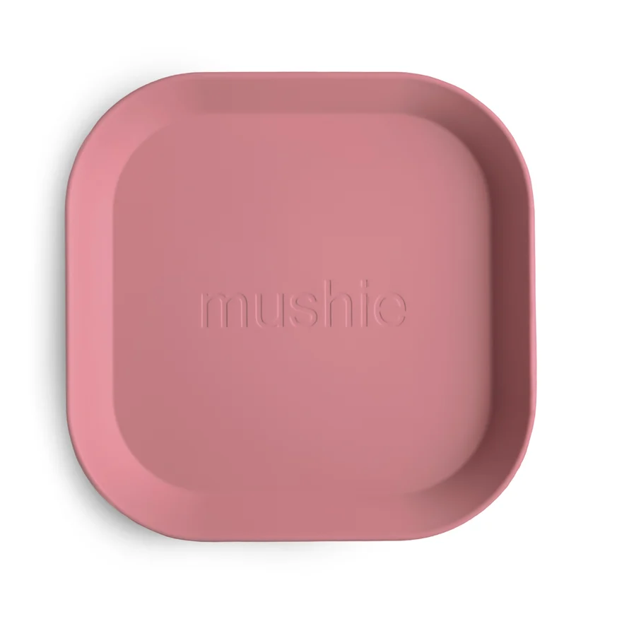 Square Dinnerware Plates, Set of 2