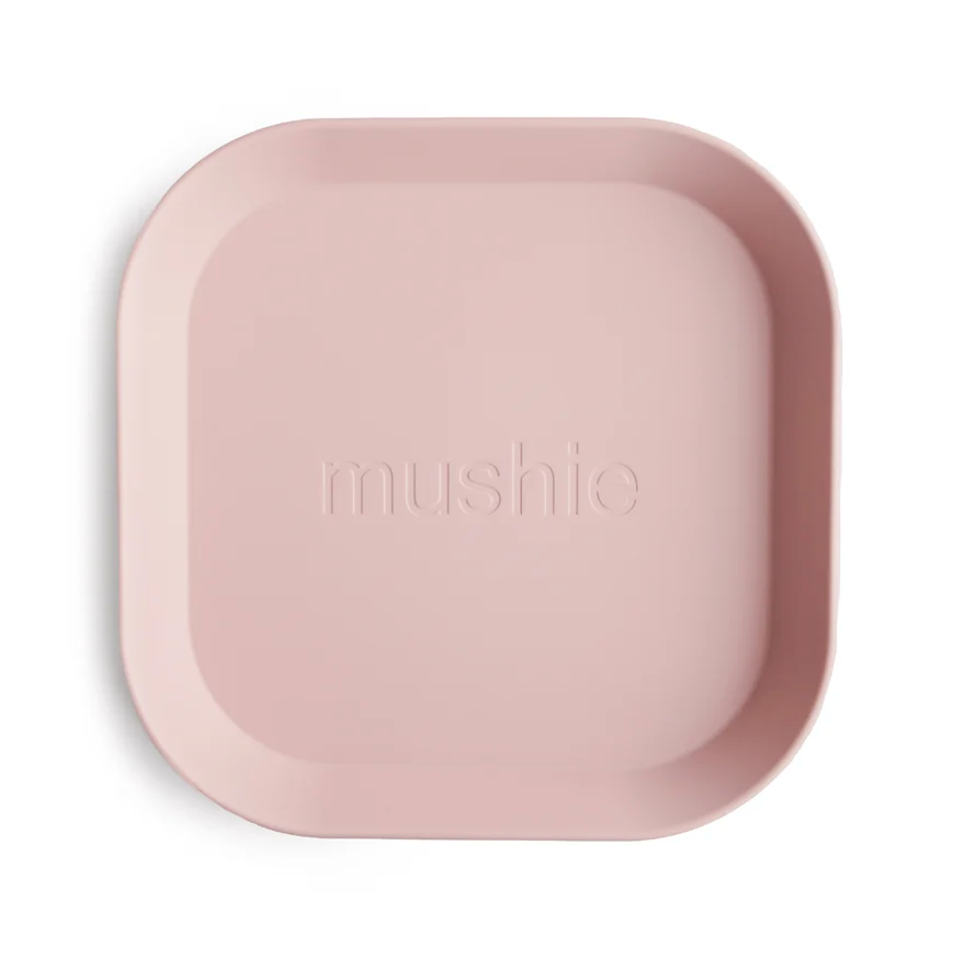 Square Dinnerware Plates, Set of 2