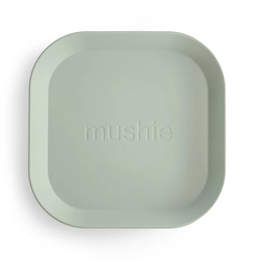 Square Dinnerware Plates, Set of 2