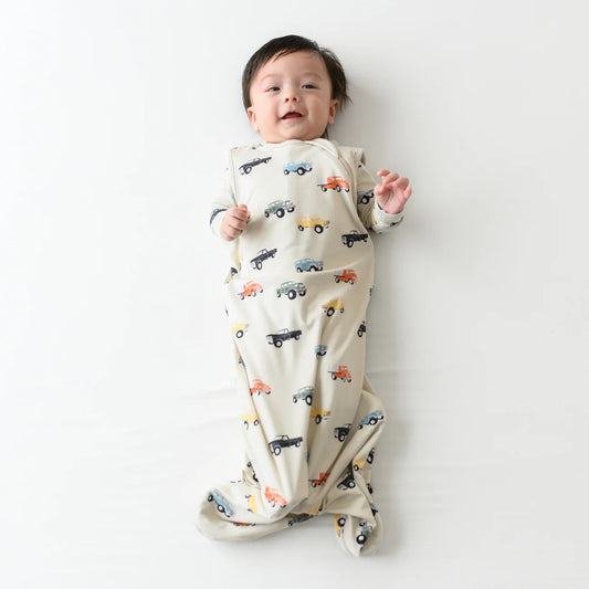 Sleep Bag in Vintage Truck 0.5
