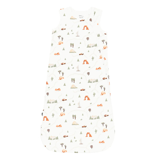 Sleep Bag in Road Trip 1.0 tog