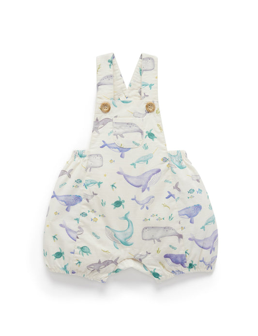 Short Overall in Whale