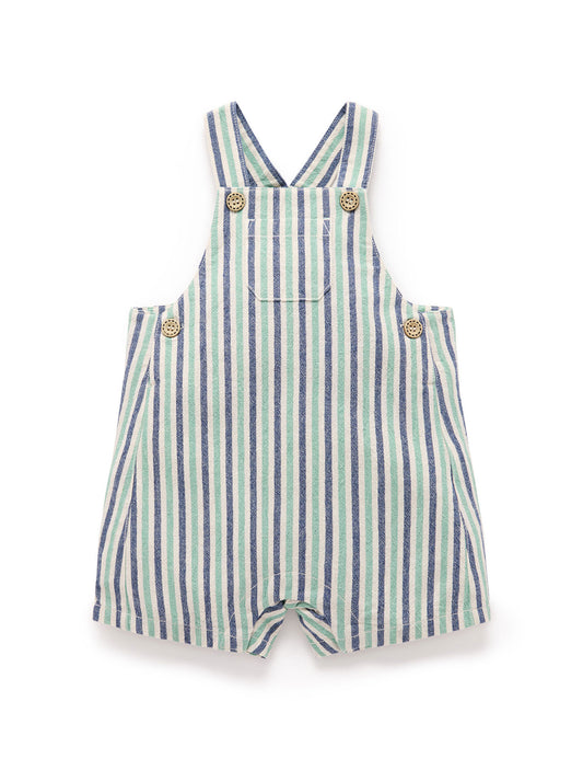 Striped Overalls in Iguana