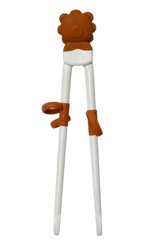 Learning Chopsticks - Born To Be Wild