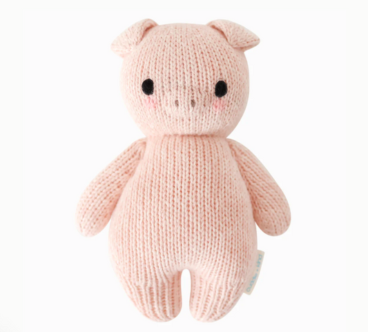 Baby piglet